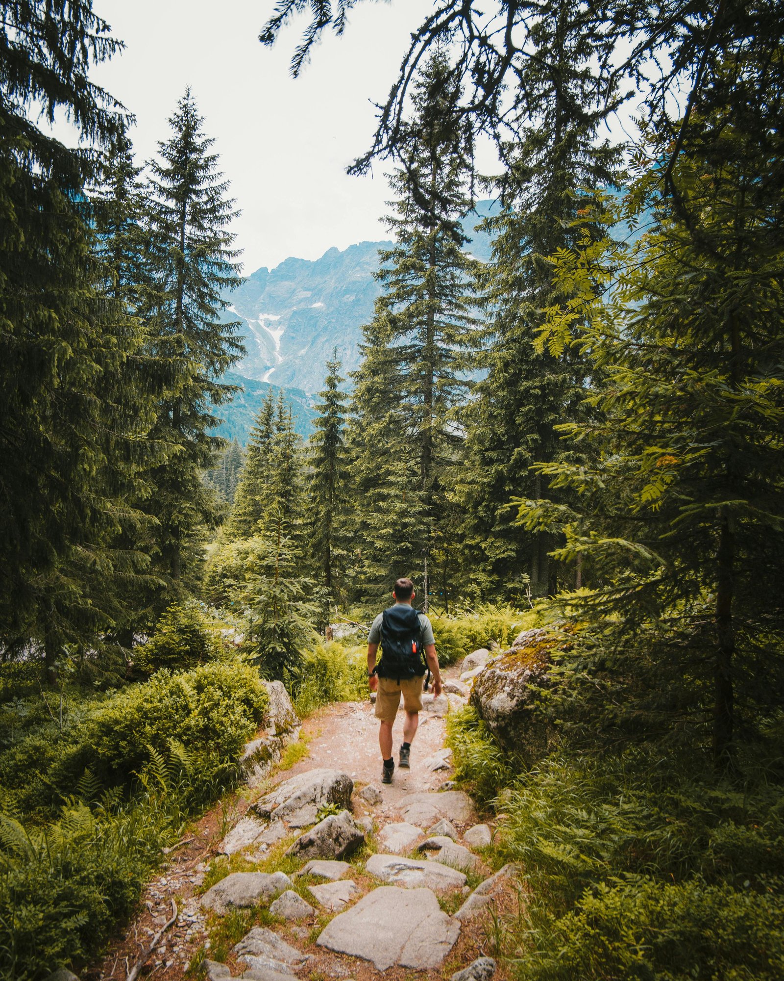 Man exploring a hiking trail Man exploring a hiking trail